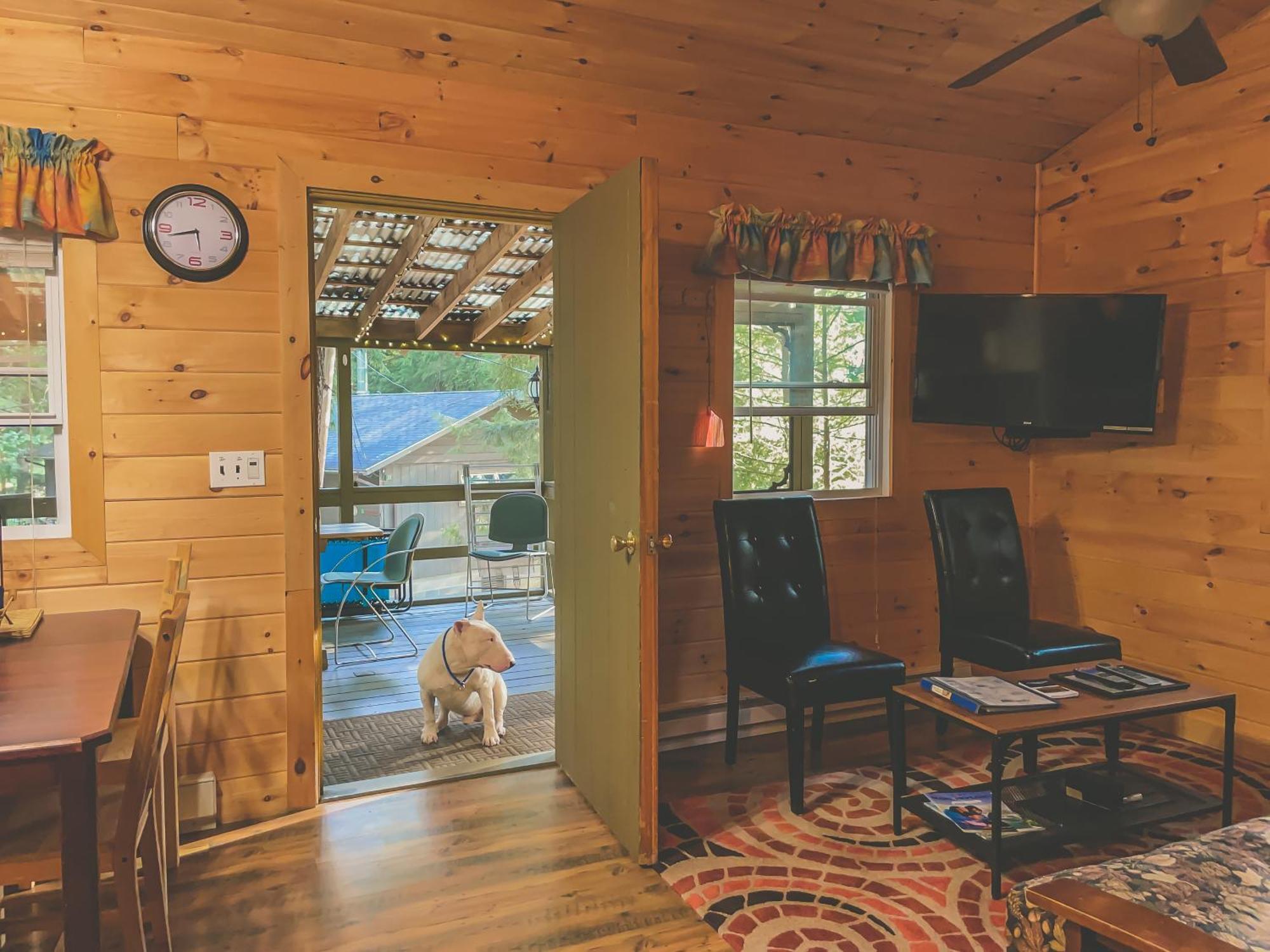Motel Long Lake&Cottages LLC Rum bild